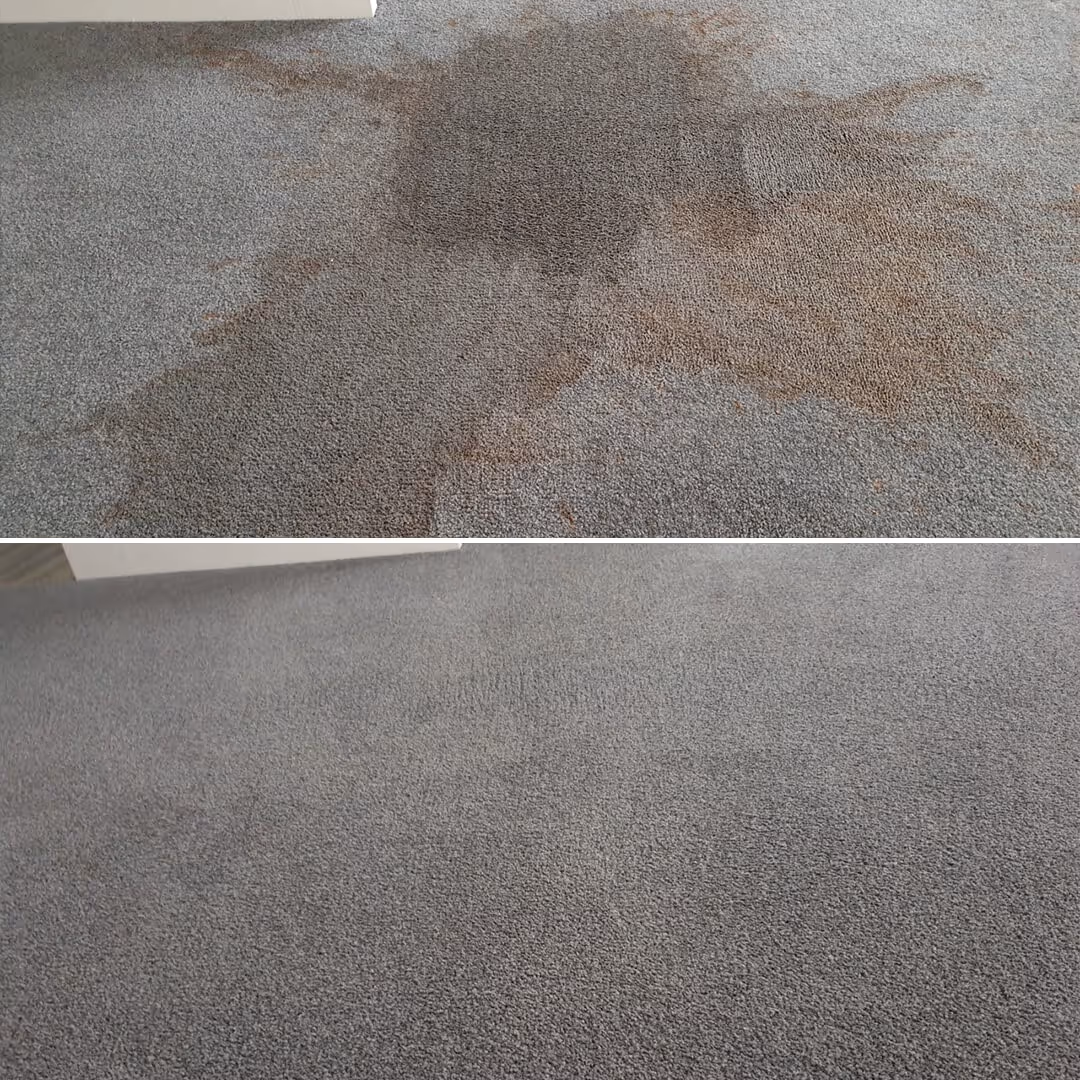 JAE Carpet Stain Treatment Before and after