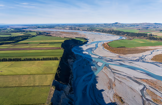 Professional carpet cleaning, pest control & more across Christchurch