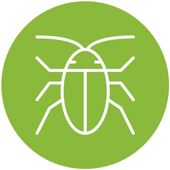 Pest Control