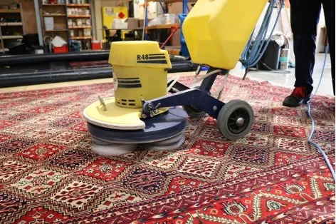 cleaning rugs in new zealand