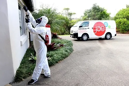 pest control New Zealand