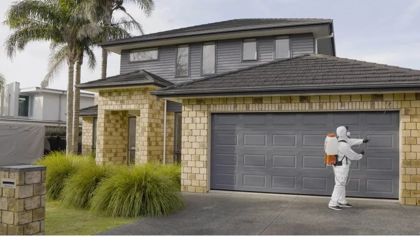 professional pest control services faqs