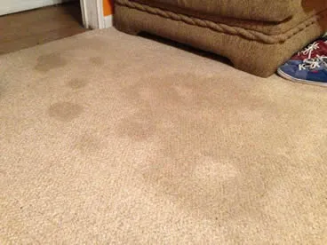 old carpet stain