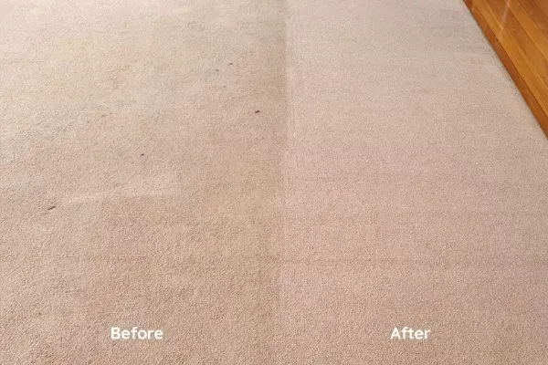 before and after carpet cleaning