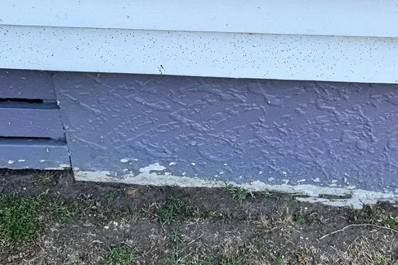 Borer flight holes are a key sign of borer