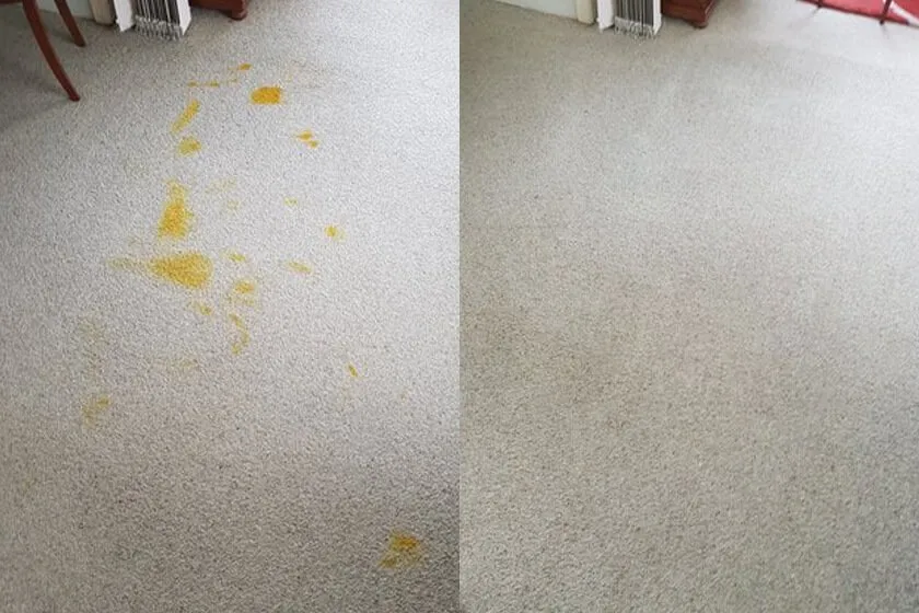 common stains on carpets