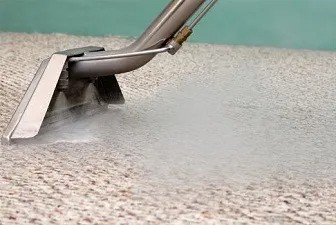 carpet steam cleaning