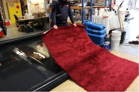 rug cleaning new zealand