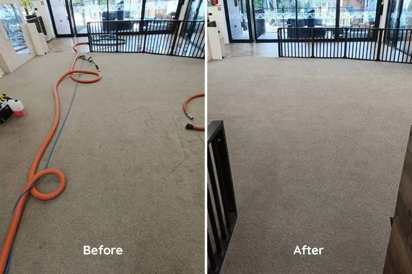 carpet cleaning before and after