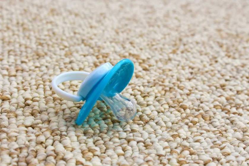 Unwashed carpets a haven for Bacteria