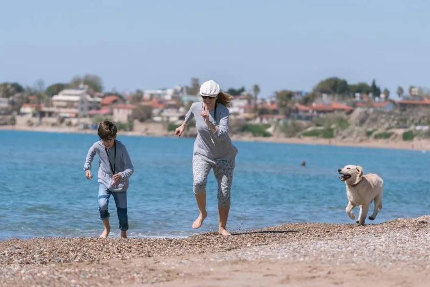 professional carpet clean in summer