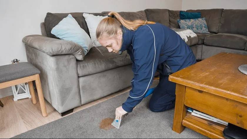 post-holiday clean up carpet stains
