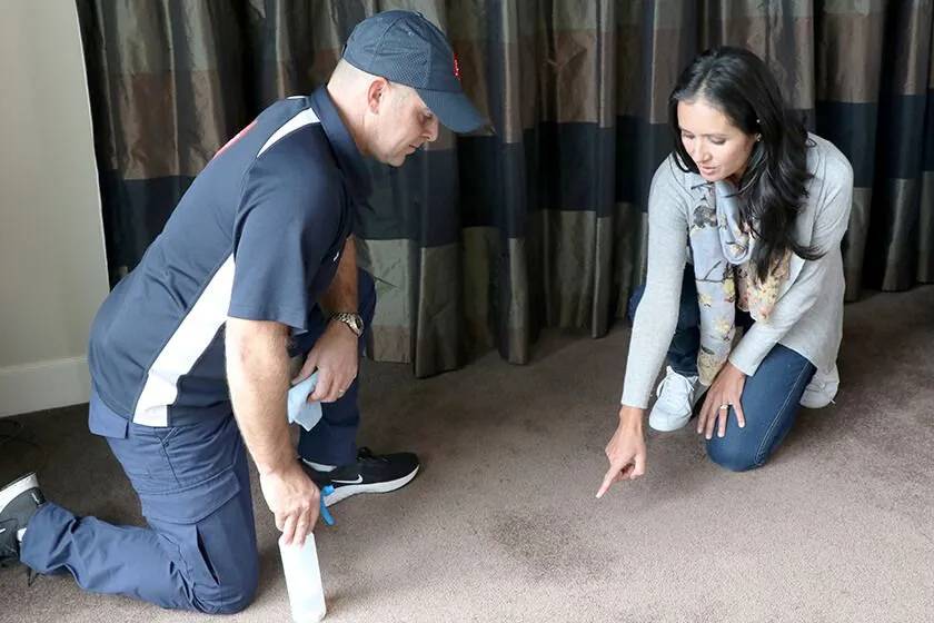 JAE Carpet Cleaning Before Christmas