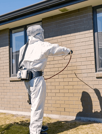 Dunedin Pest Control