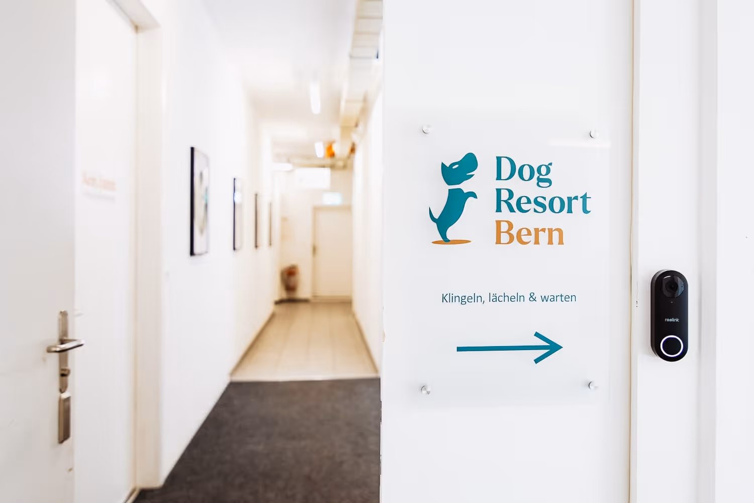Unser neuer Marken- und Webauftritt