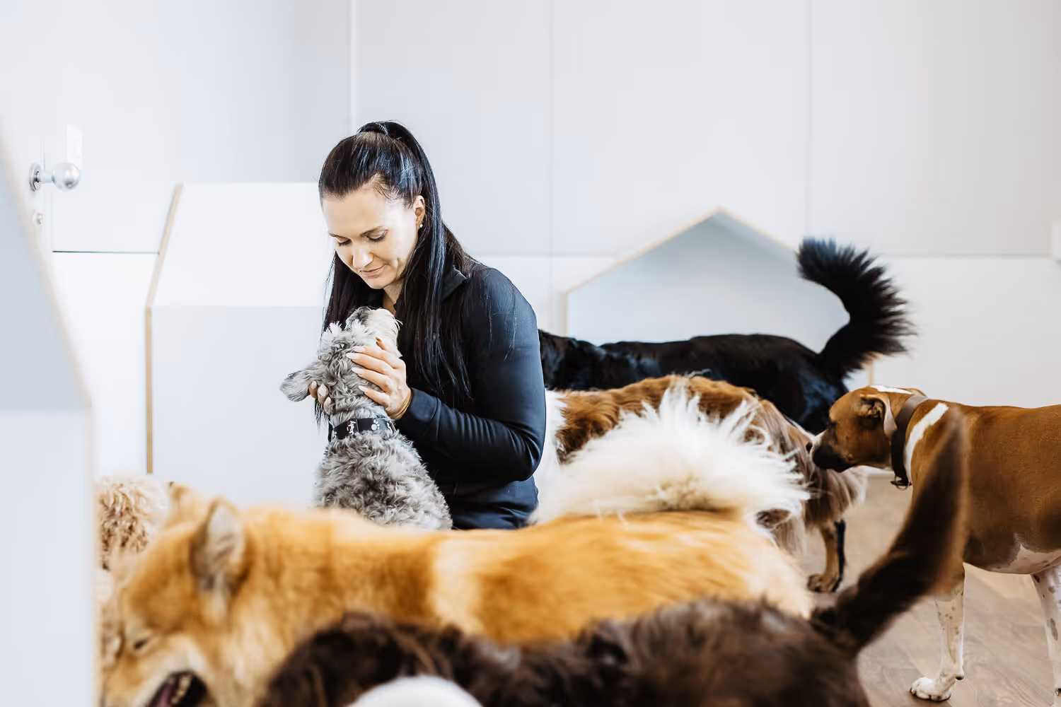 Hundebetreuung auch übers Wochenende