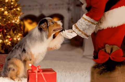 Weihnachtsferien 2024