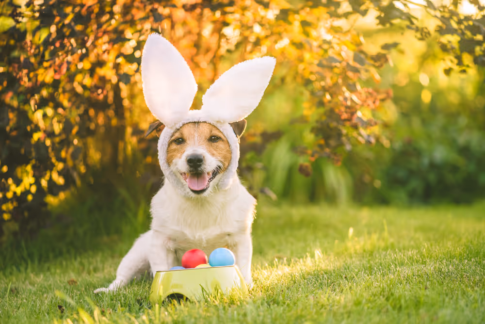 Happy Easter! 2025