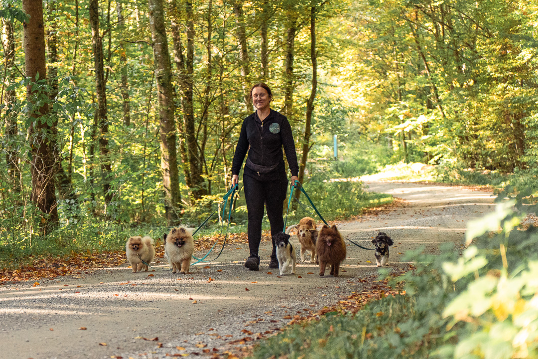Neue verantwortliche Person für die Tierpflege