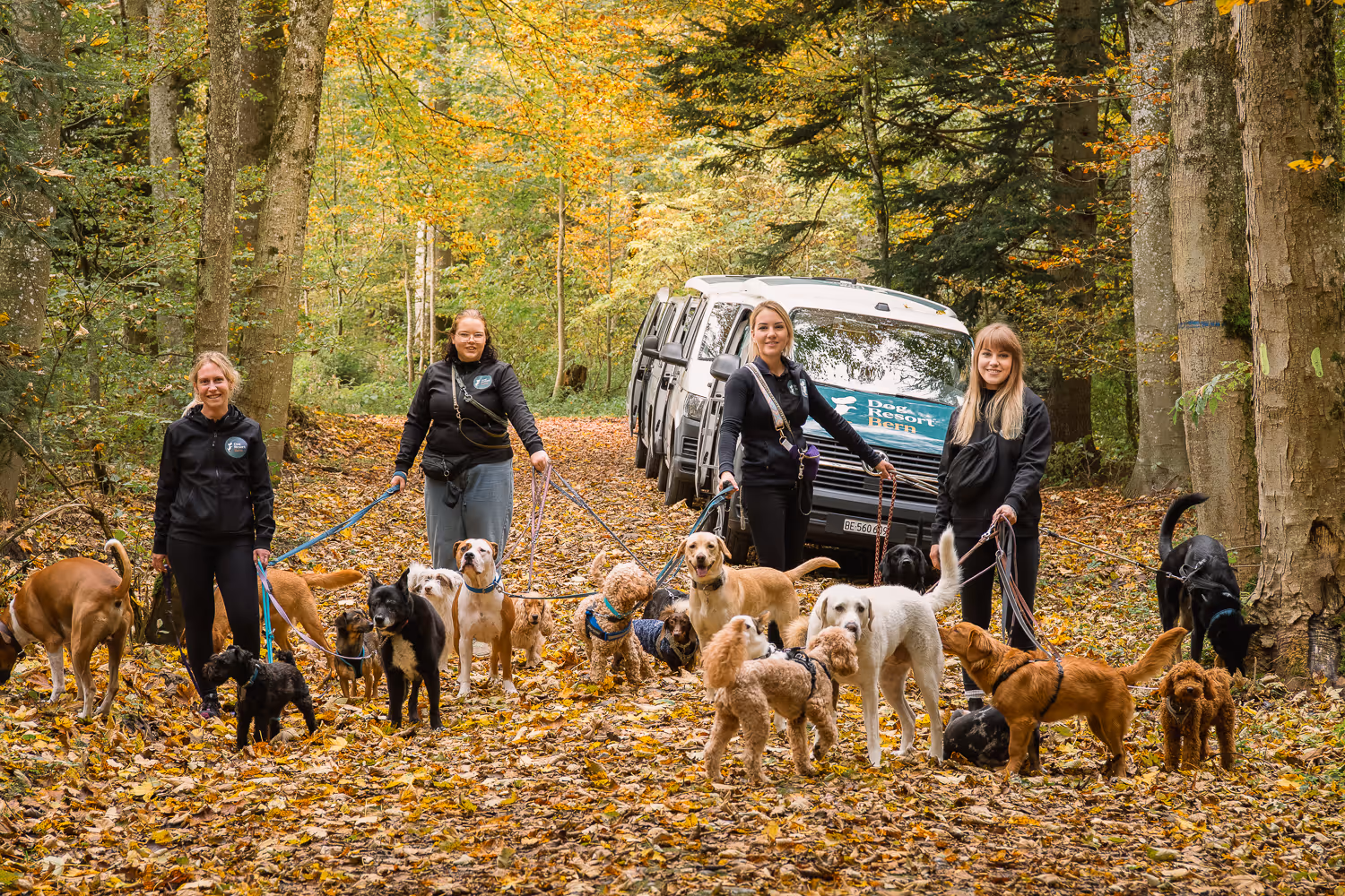 Abhol- und Bringservice in der Region Bern