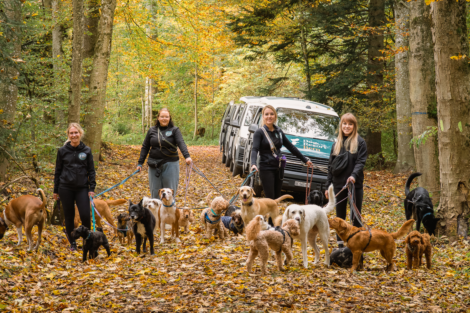 Abhol- und Bringservice in der Region Bern