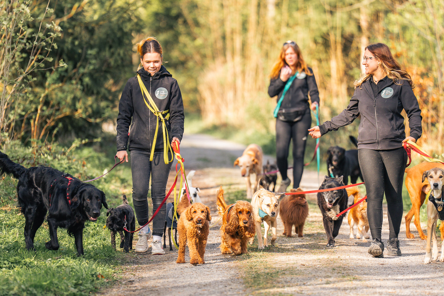 Auffahrt und Pfingsten 2026
