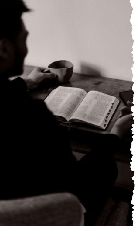 why sparrows college exists