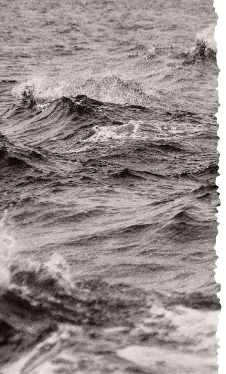 participants will be trained and supported