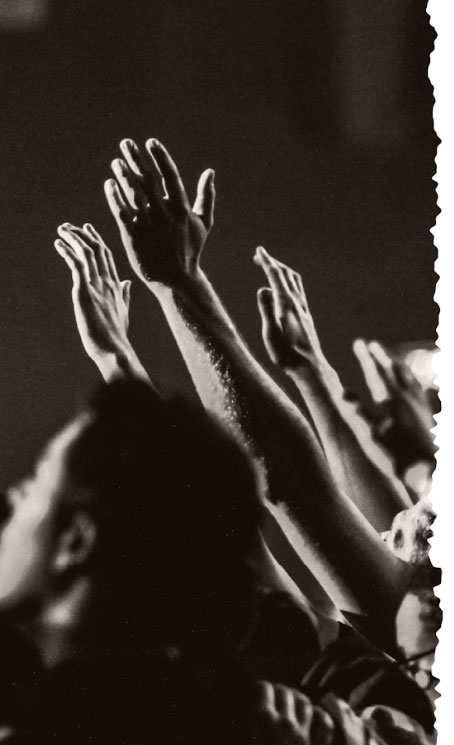 how the program works