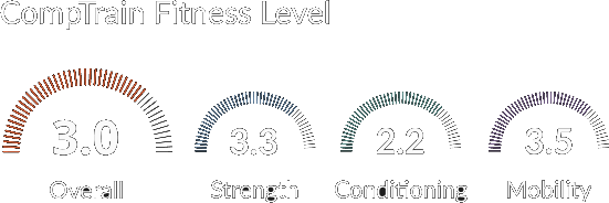 fitness_level_diagnostic_clean