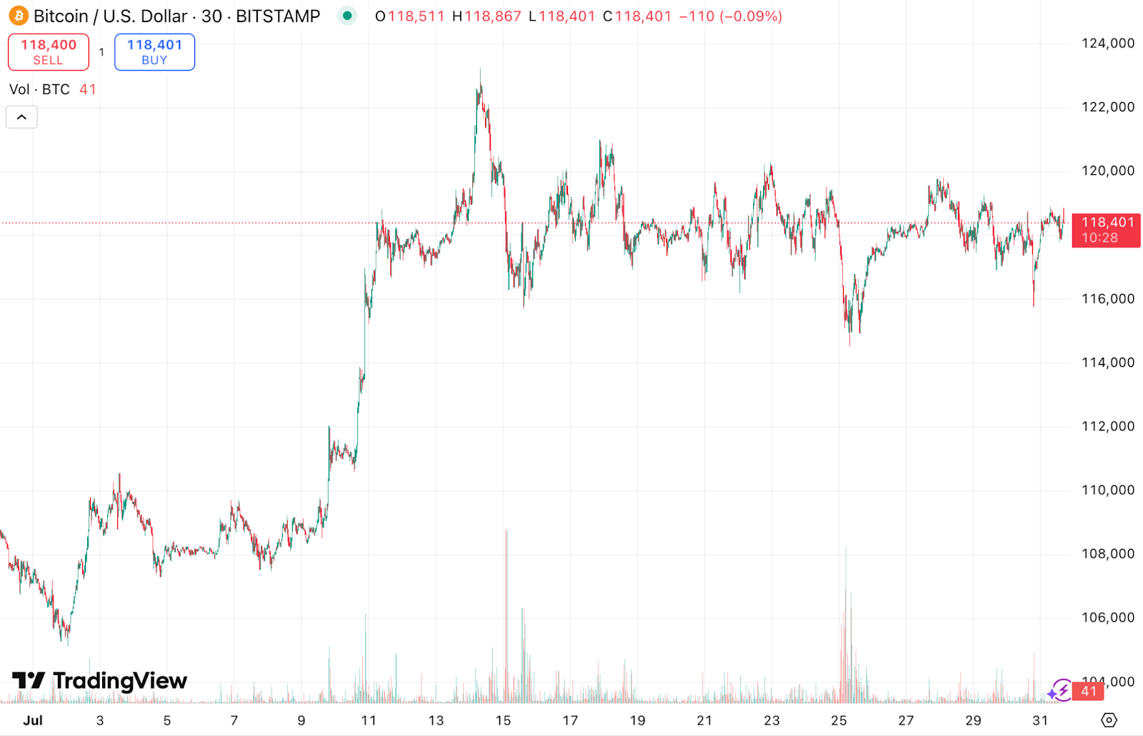 Bitcoin price chart for July 2025