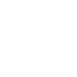 ChatGPT Icon