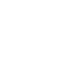 Perplexity Icon