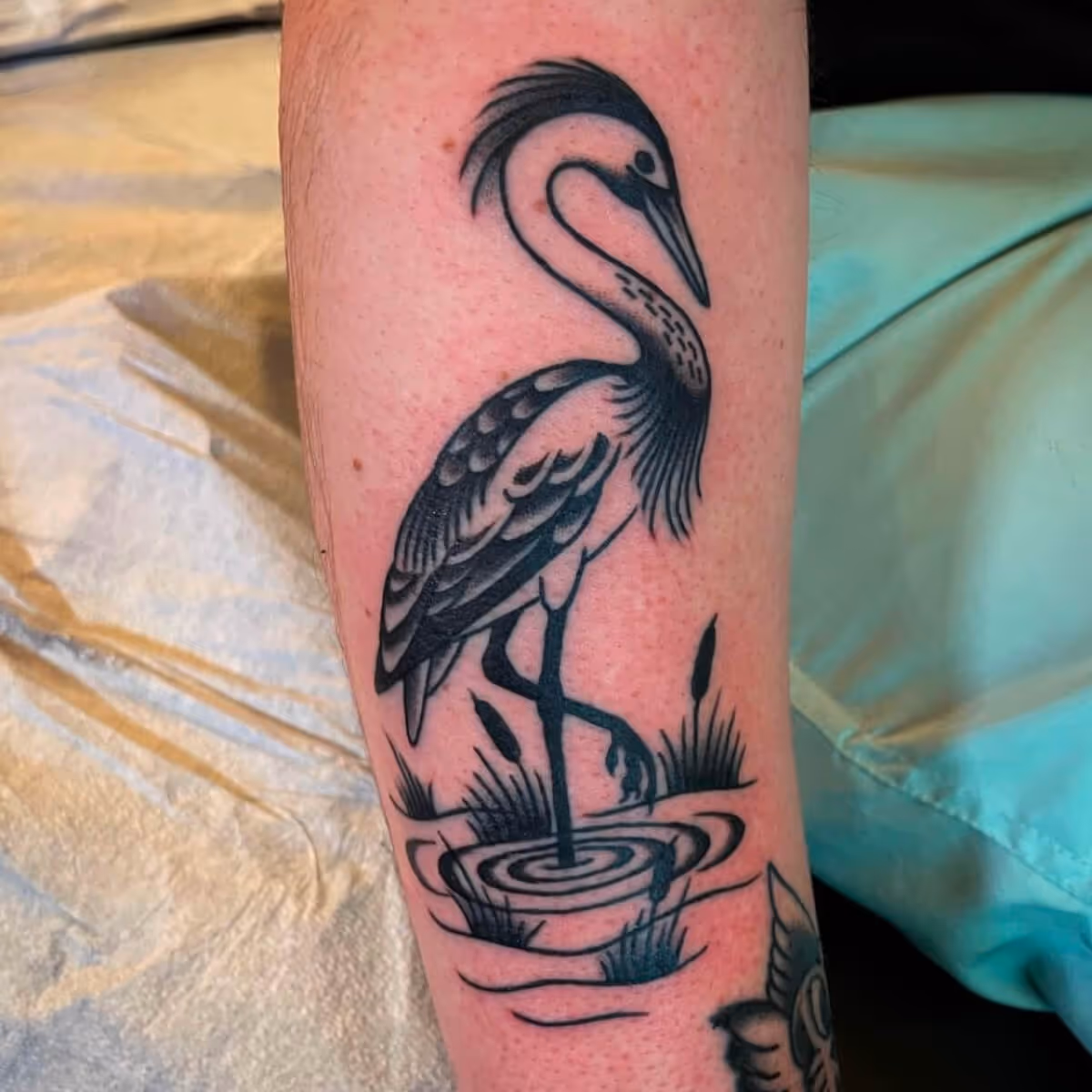 Black and grey heron by Brittany Quintero of Sweet Heart Tattoo.