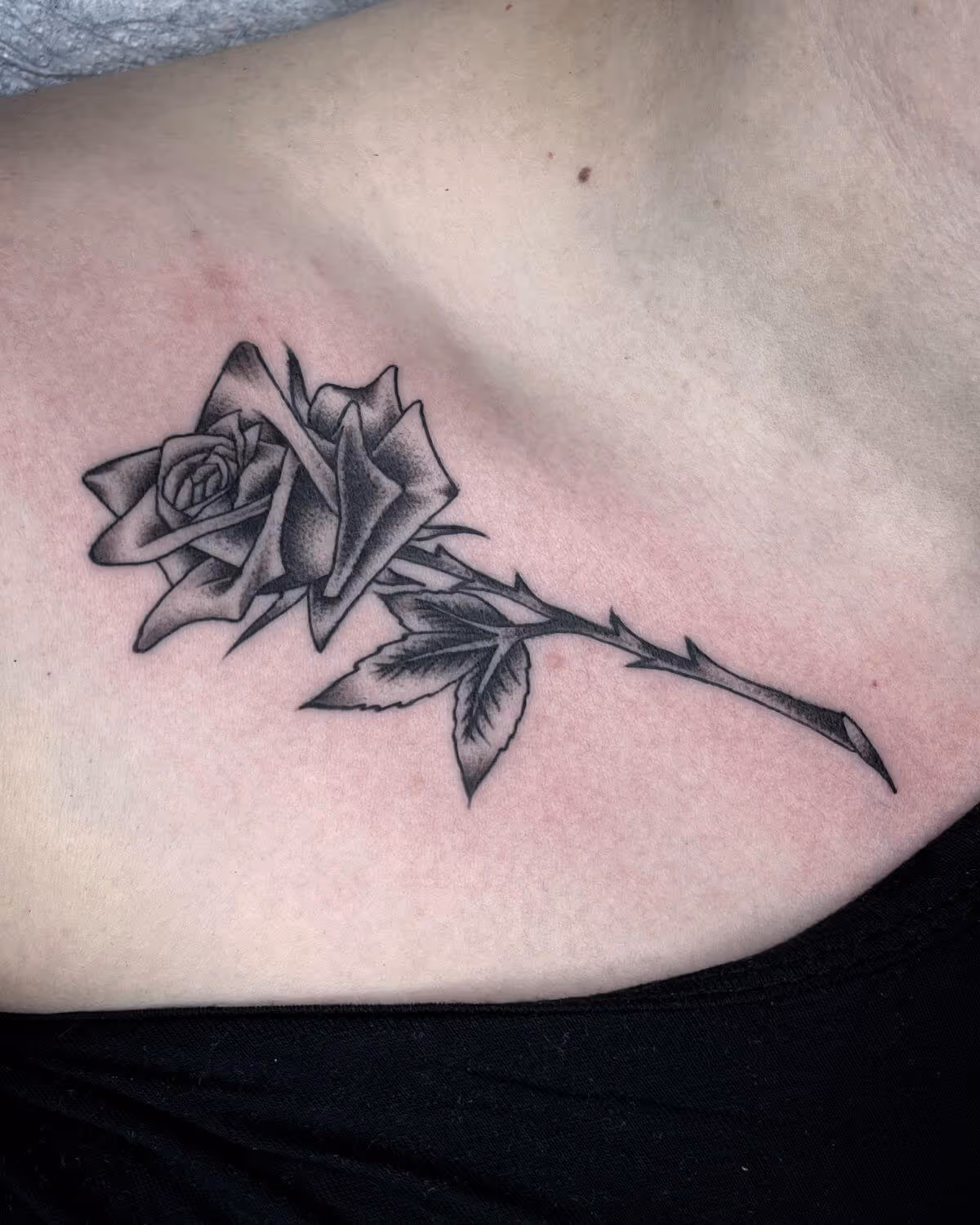 Black and grey rose tattooed on collar bone by Joshua Bighaus