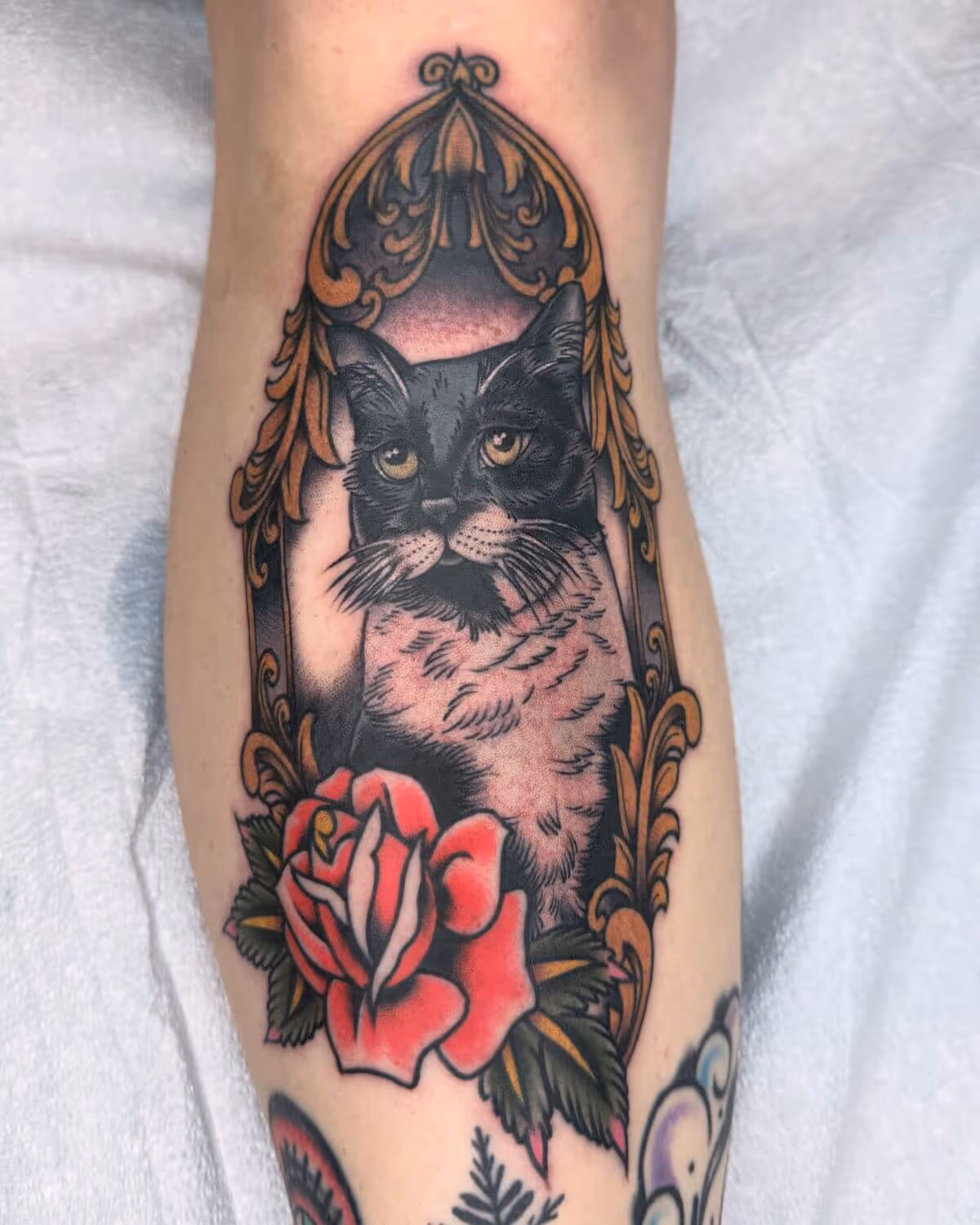 Traditional cat portrait in ornate golden frame tattooed by Joshua Bighaus.