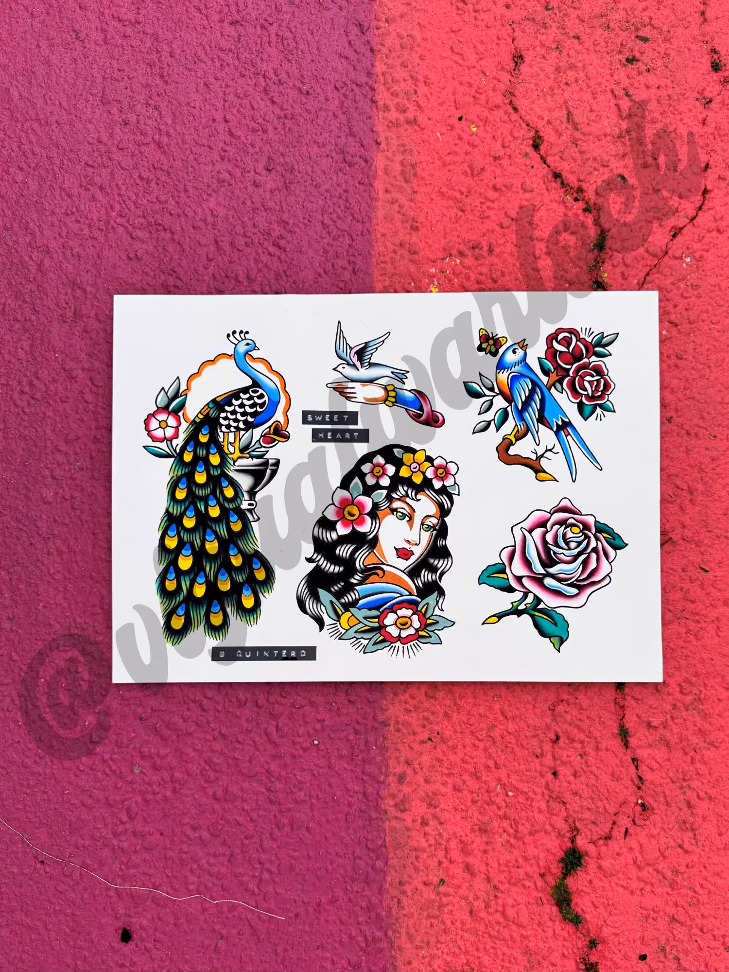 Sheet of colorful tattoo flash featuring a peacock, a hand holding a bird, a woman with flowers in her hair, a blue bird on a branch, and a pink rose.