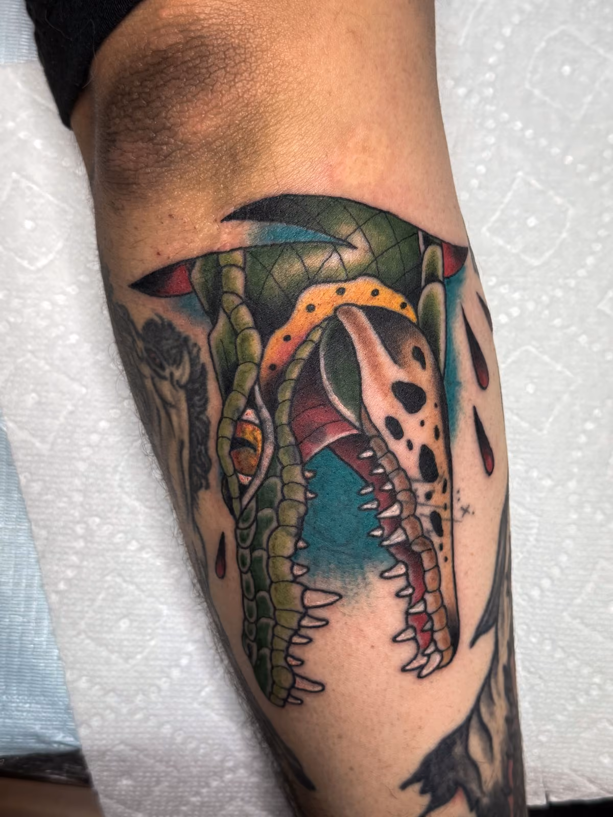 Colorful traditional tattoo of an open-mouthed alligator head on an arm.