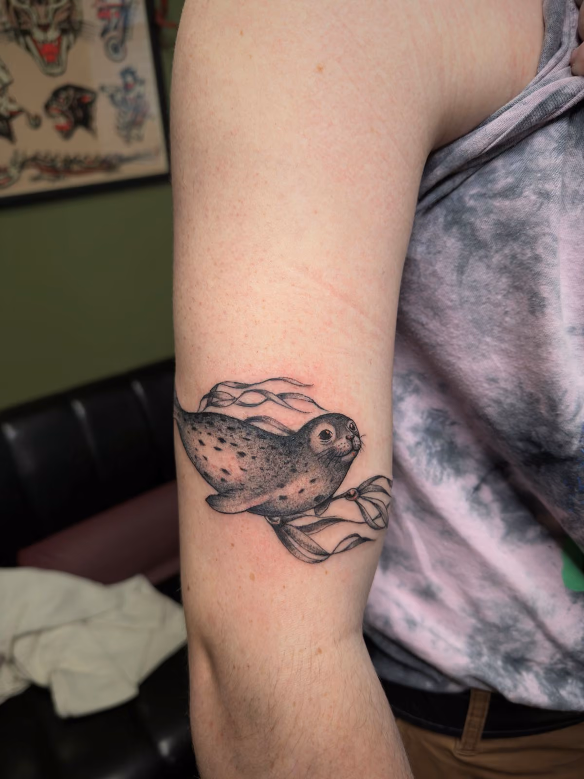 Black and gray fine line dot work tattoo of a seal with flowing seaweed on a person's upper arm.