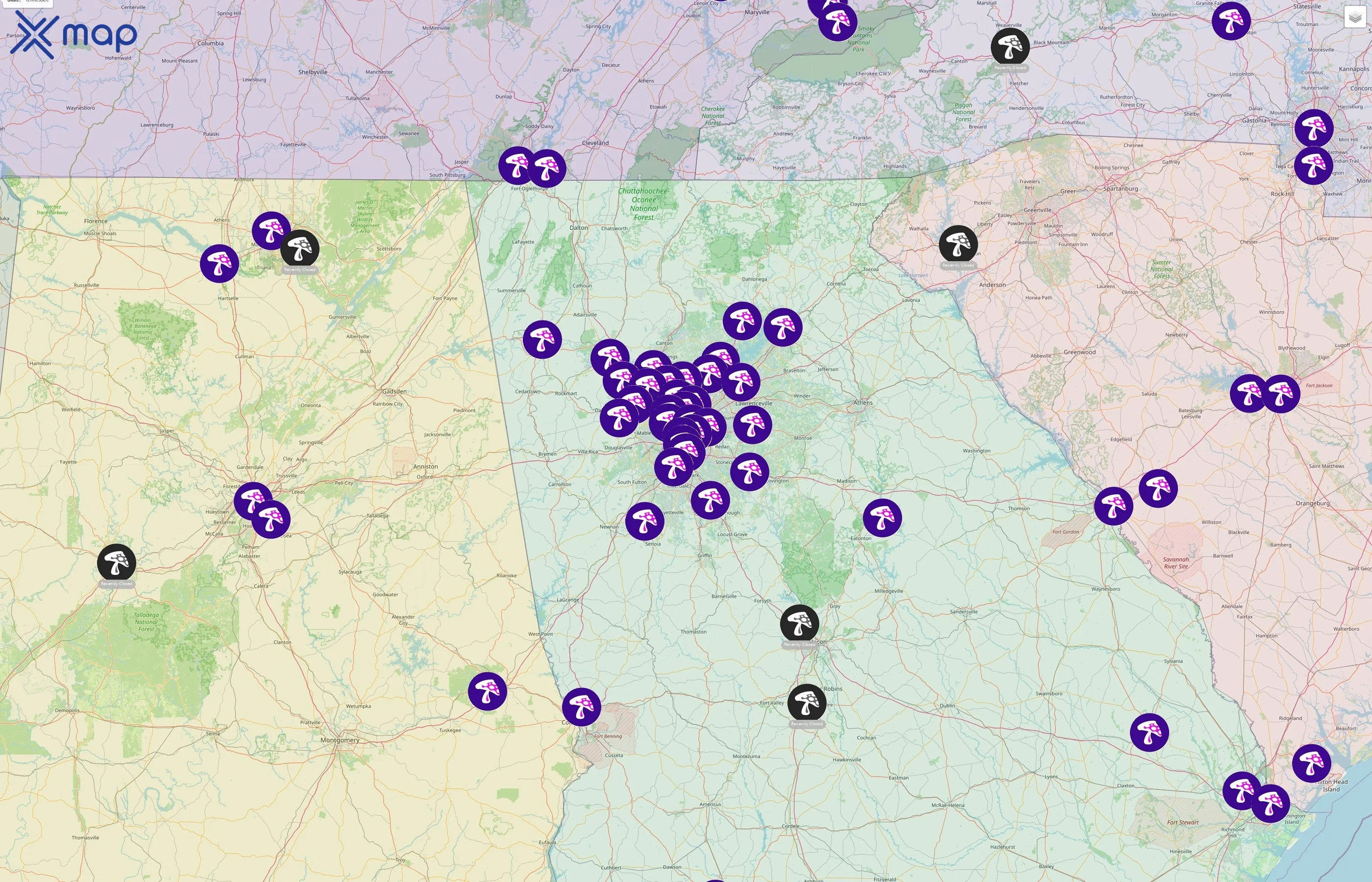 Mellow Mushroom street hotspots