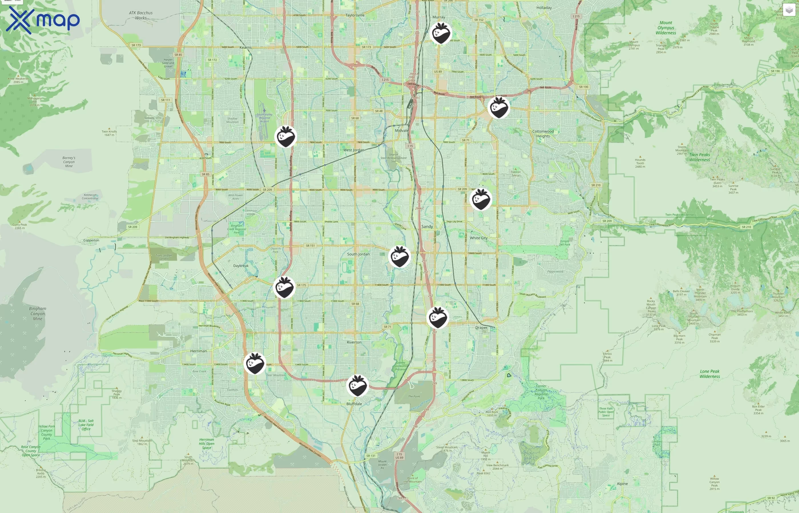 Café Zupas traffic data