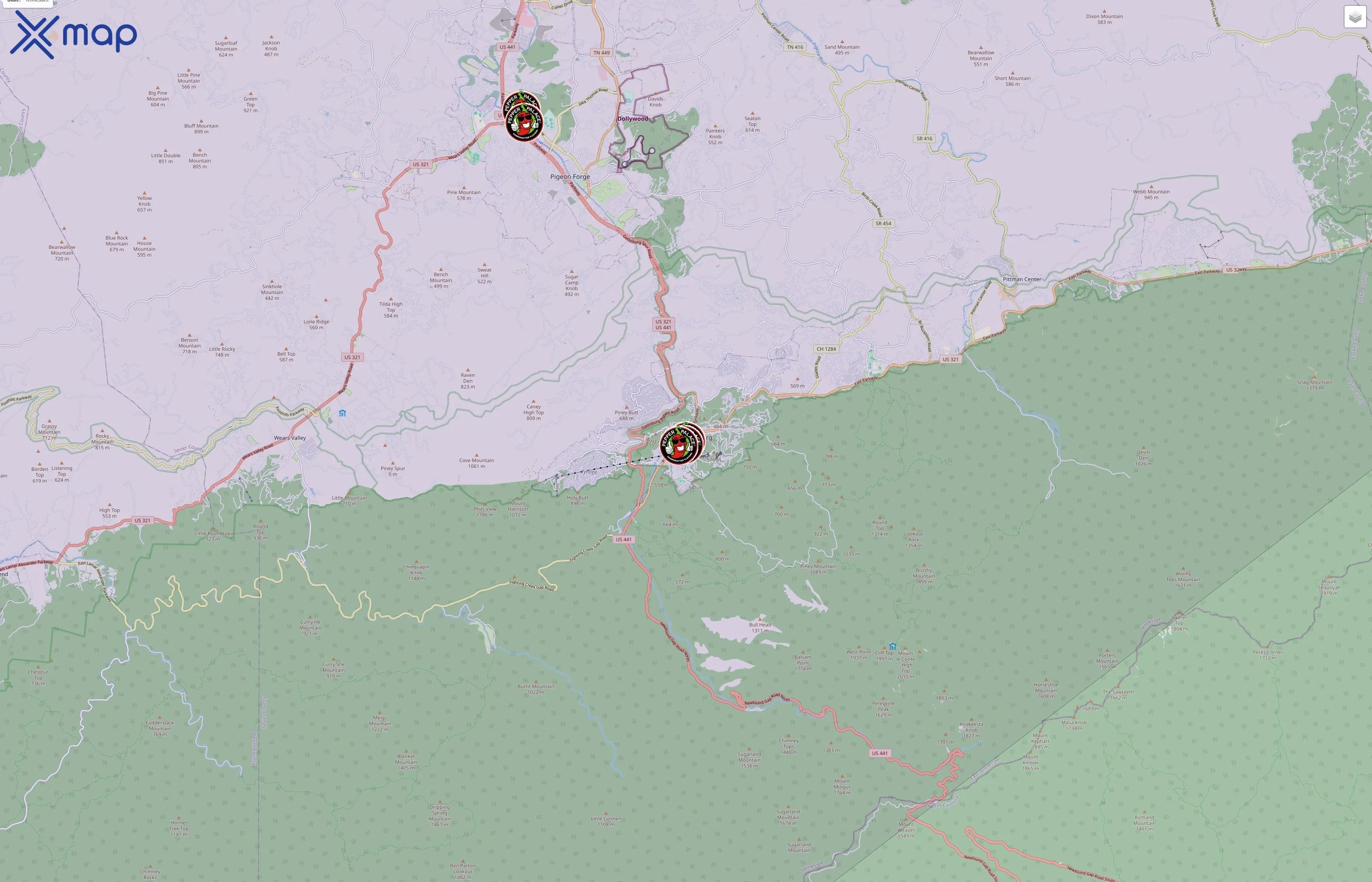 Pepper Palace traffic data