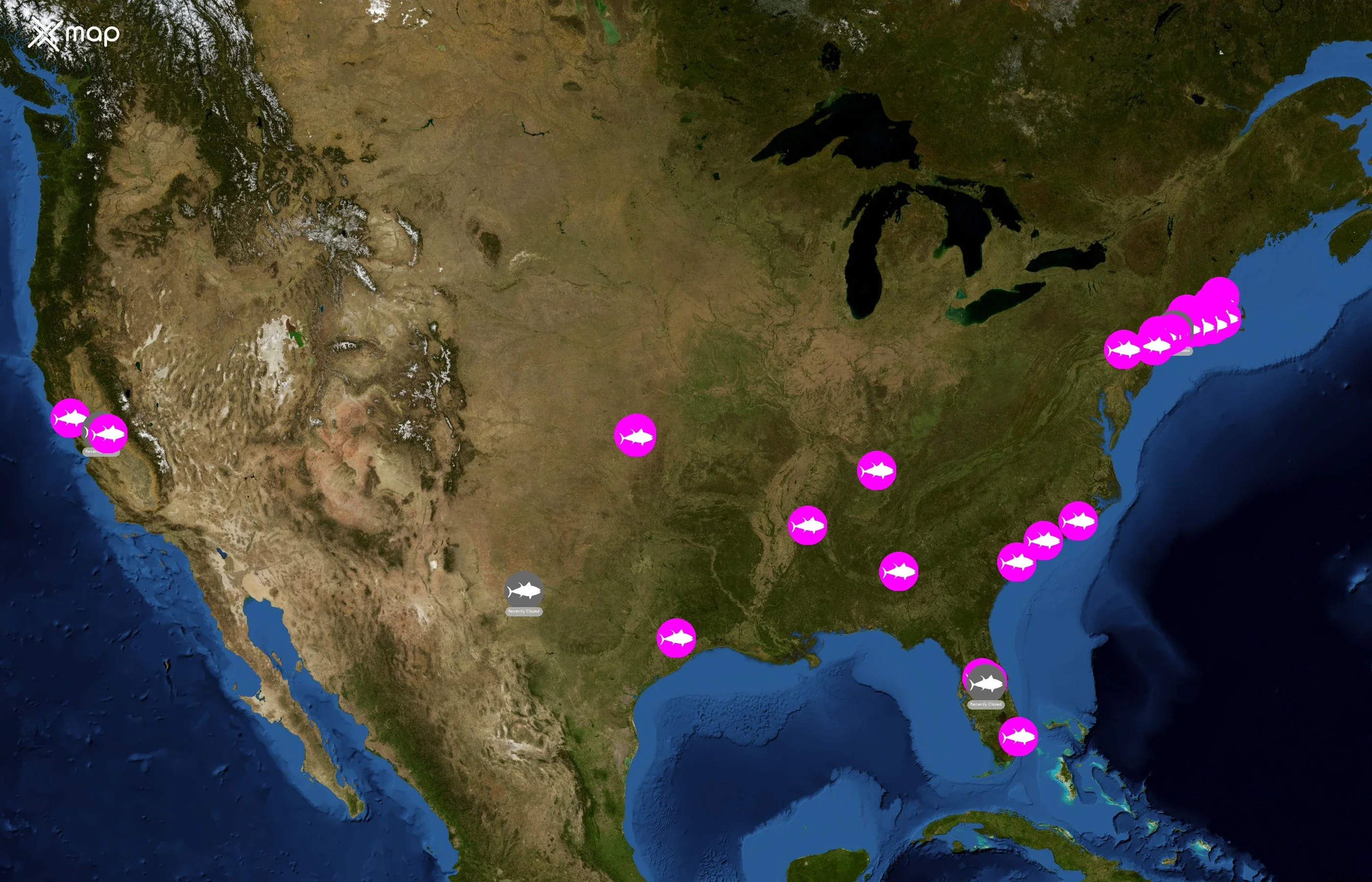 Pokémoto state distribution
