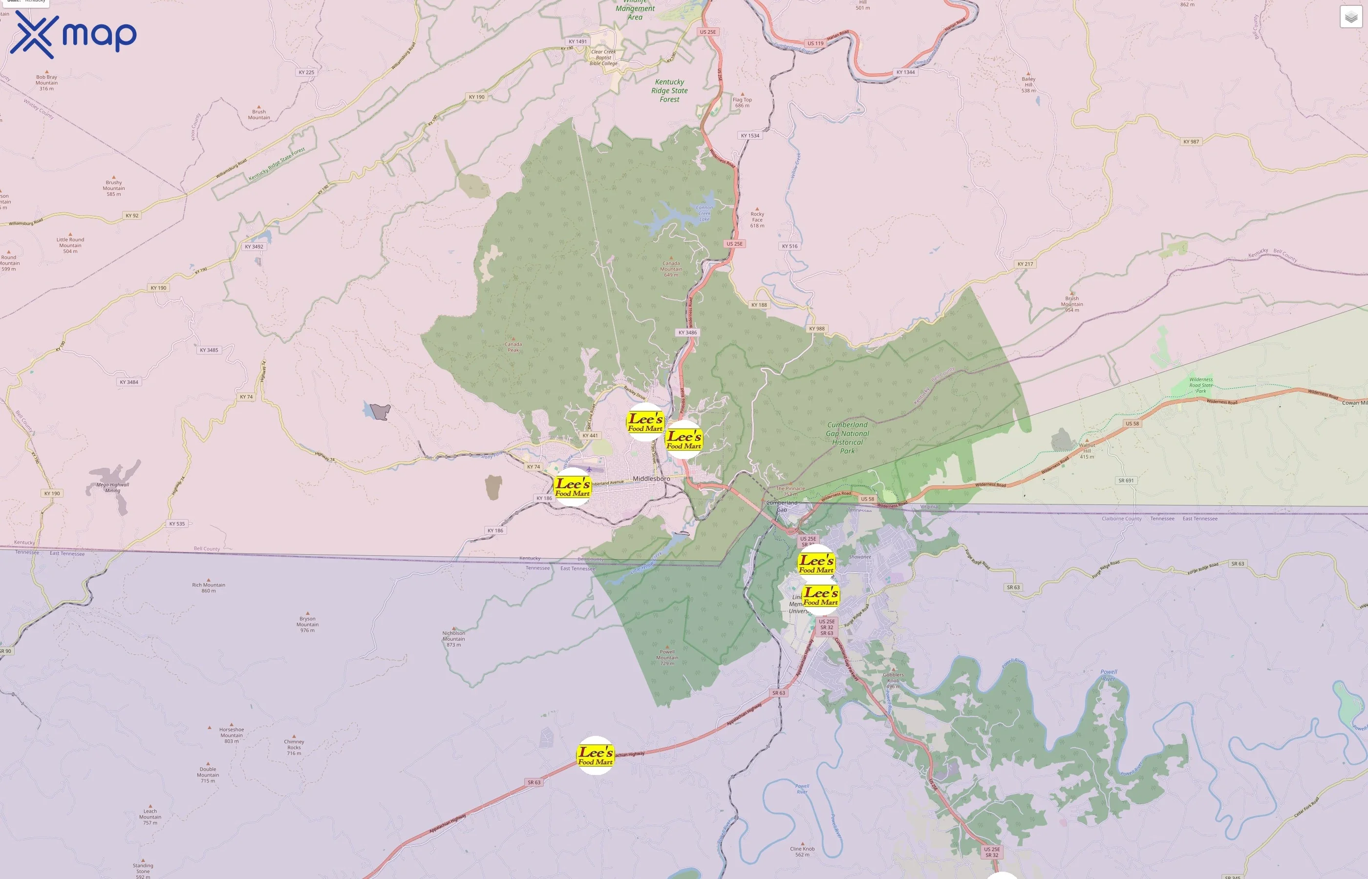 Lee's Food Mart traffic data