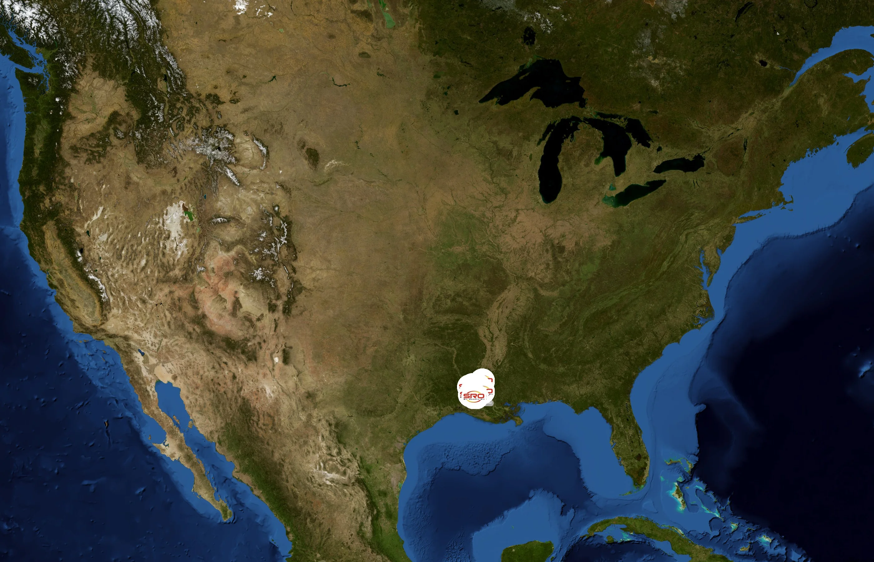 Y-Not Stop state distribution