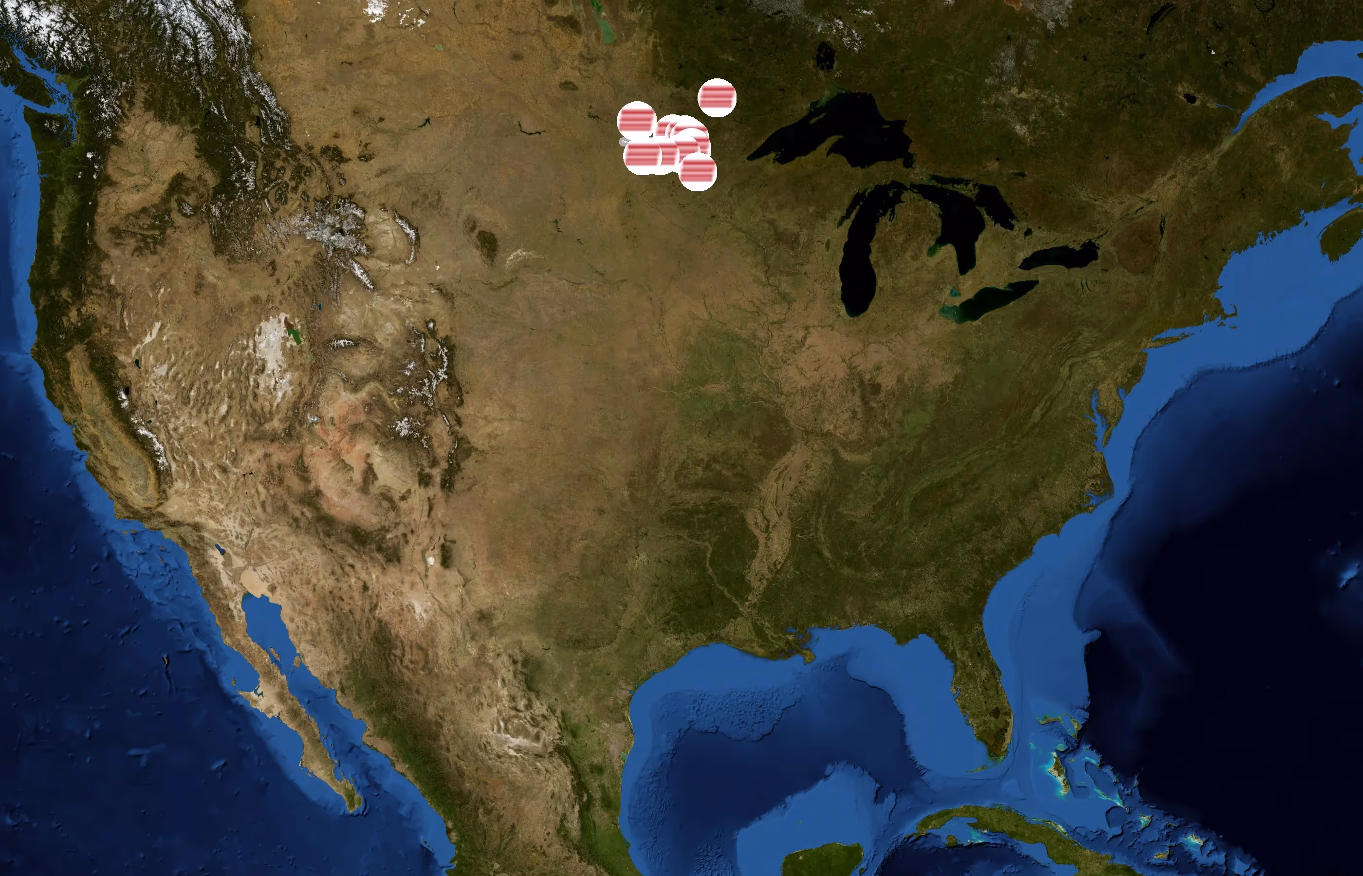 Orton Oil Company state distribution