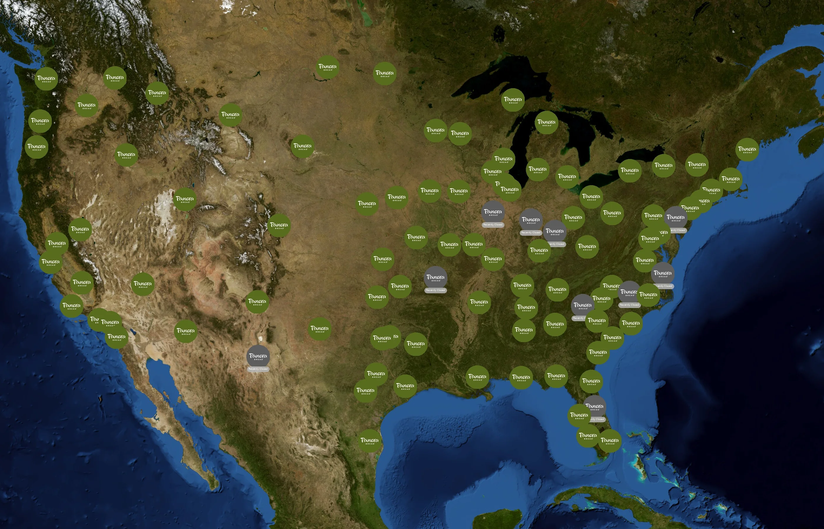Panera Bread state distribution