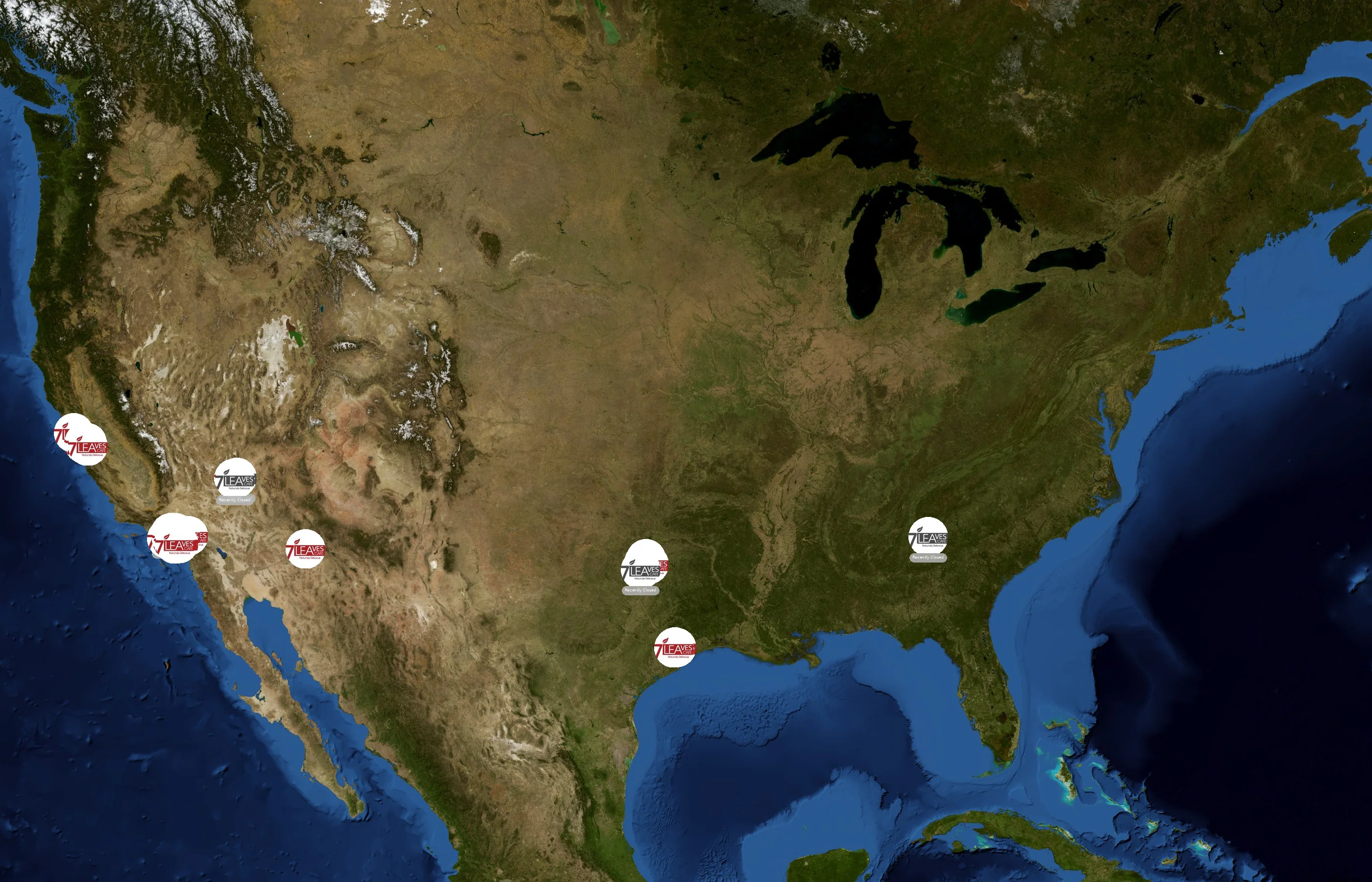 7 Leaves Cafe state distribution