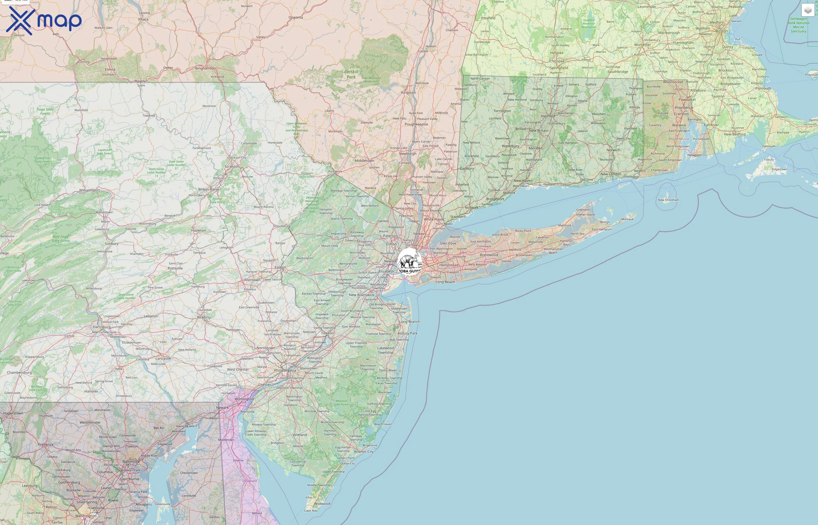 Boba Guys street hotspots