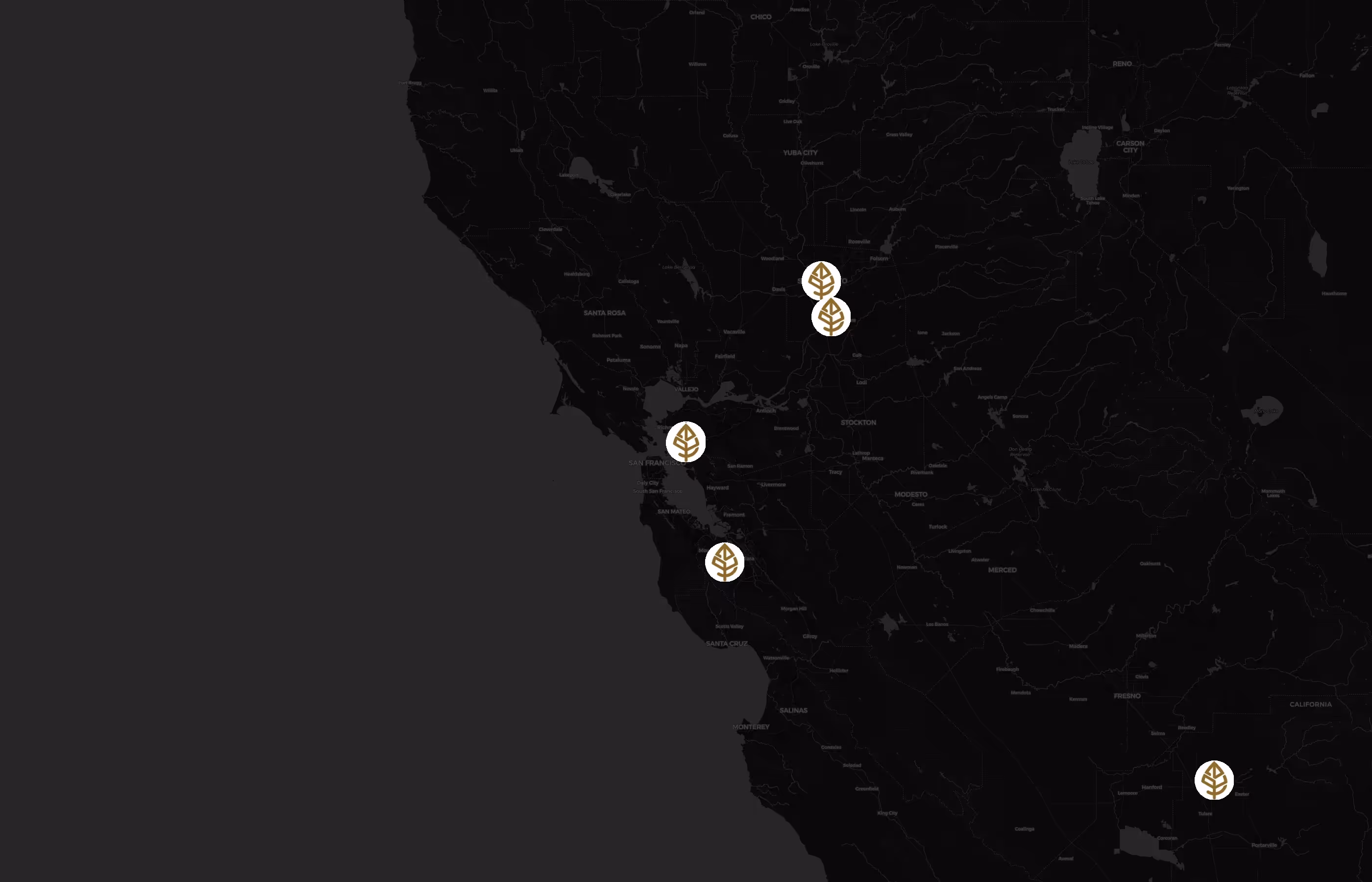 RareTea city distribution